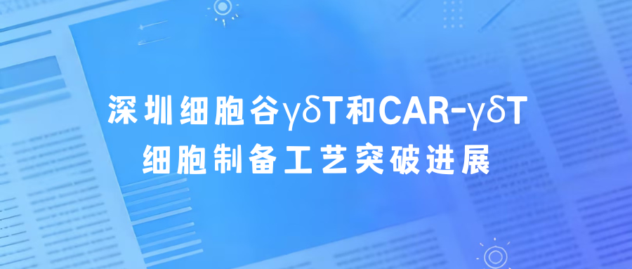 科研赋能|深圳918博天堂官网γδT和CAR-γδT细胞制备工艺突破进展